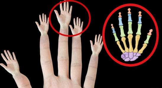 كشف السر الذي حير الجميع حتى الآن وراء اختلاف الأصابع في يد الإنسان وما هي وظائف كل أصبع