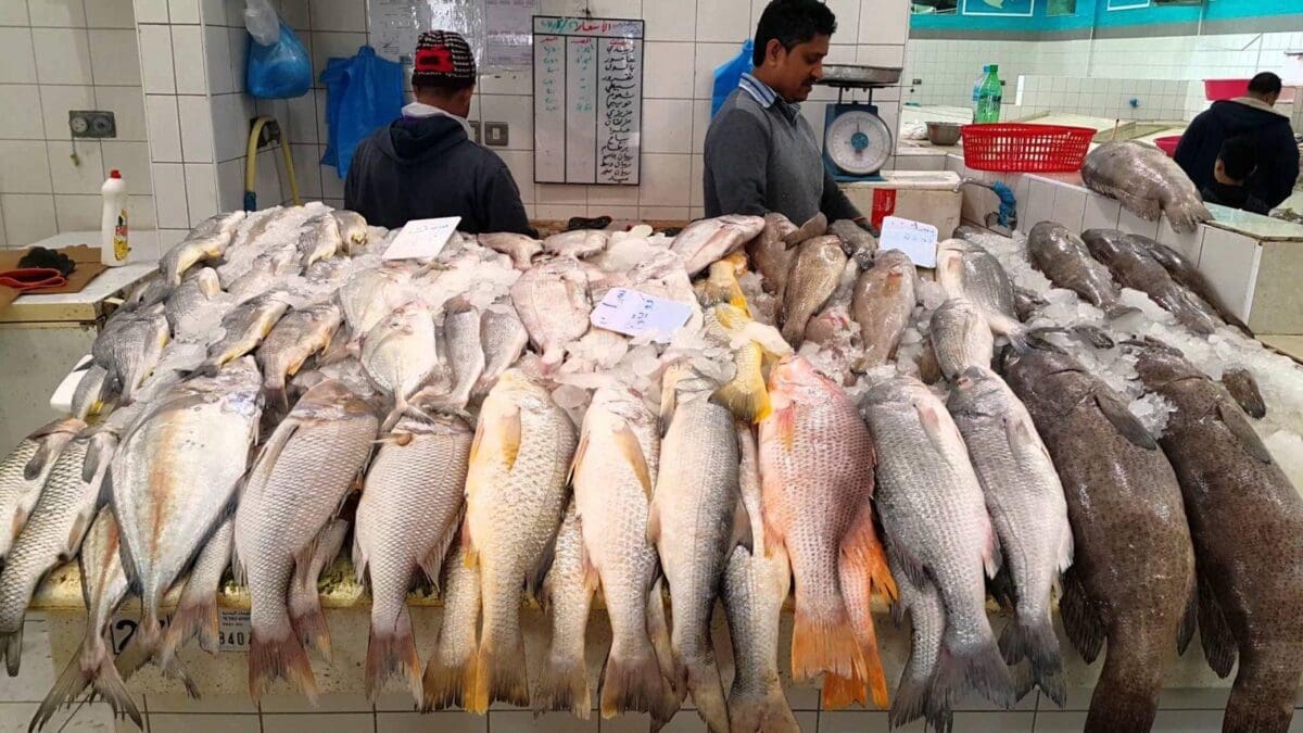 أسعار الأسماك اليوم ومقارنتها بأسعار امس بسوق العبور